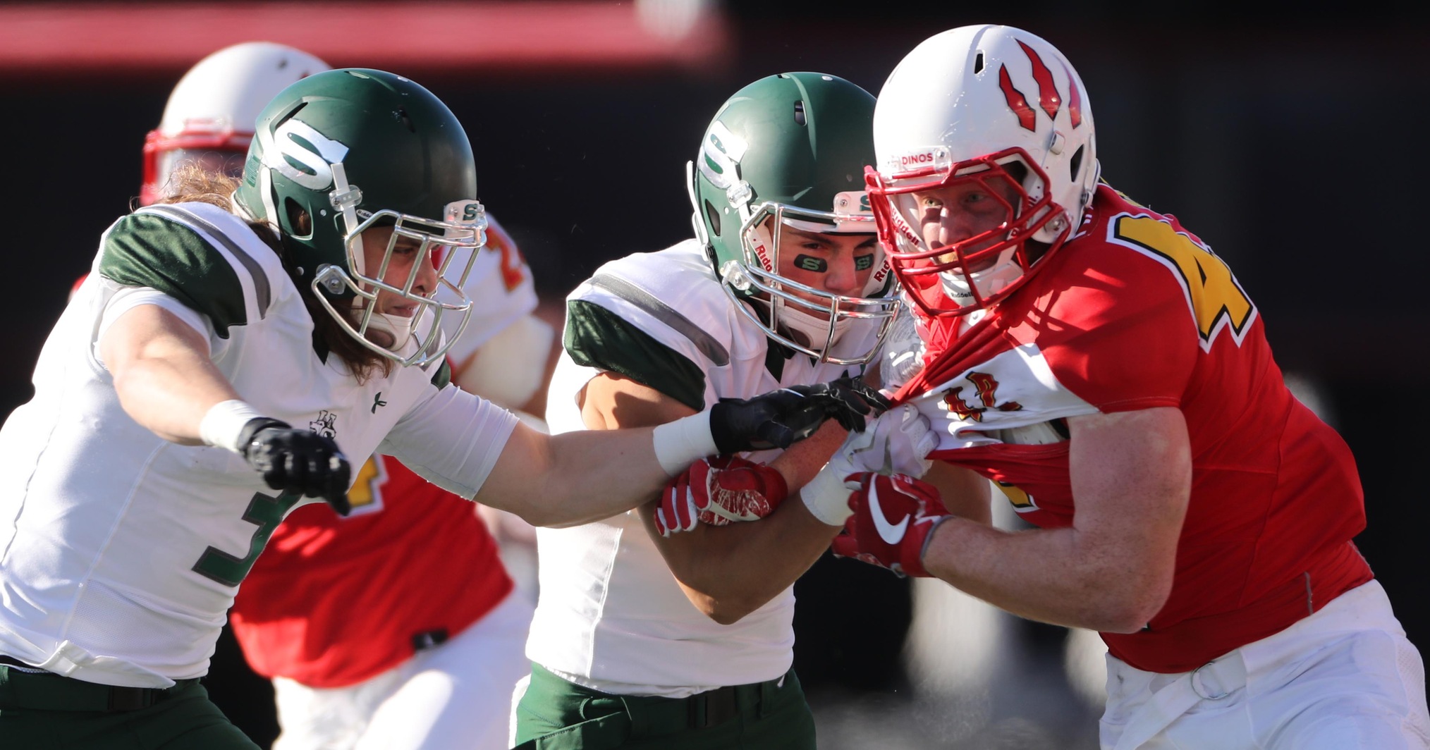 David Moll | Calgary Dinos